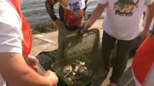 Чемпионат России по ловле донной удочкой. Воронеж. 2-6 августа 2018 года.