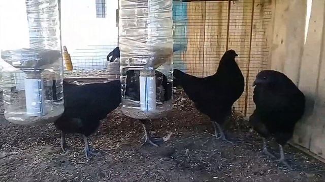 Ухейилюй. Қазақстан город Атырау. смотреть онлайн