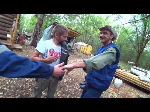 СОБИРАЕМ ЗЕЛЕНОЕ ЗОЛОТО ТАЙГИ, И ДУМАЕМ КУДА НАМ ЕГО ТЕПЕРЬ ДЕВАТЬ?)) смотреть онлайн