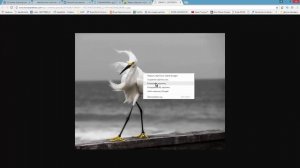 Как найти нужную картинку в Яндекс через URL? Ирина Кириковская