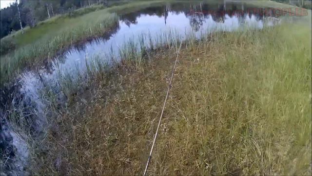 РЫБАлка В ОКНАх и блесноспасение Fishing in the windows смотреть онлайн