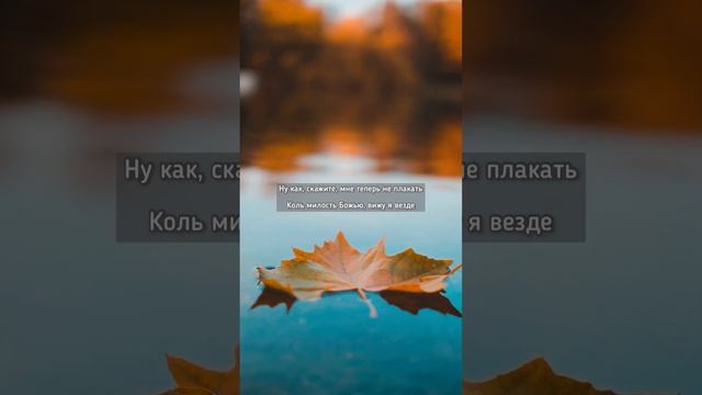 В грязи лежал я, словно лист осенний🍁🎶Братья из Михайловки смотреть онлайн