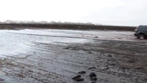 Bontyre Stalker  A/T – лучшие шины для внедорожника