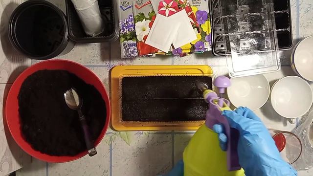 Как посадить петунию на рассаду смотреть онлайн