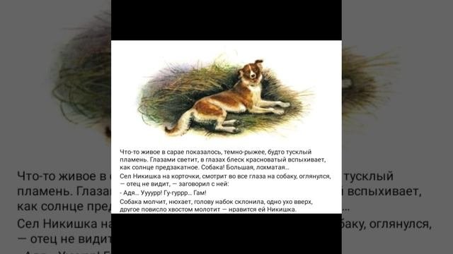никишкины тайны