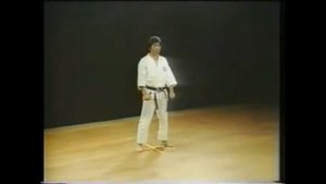 Kata Heian Nidan Shotokan Karate 2