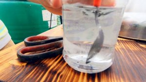 Борная кислота для огурцов. Как повысить урожай.