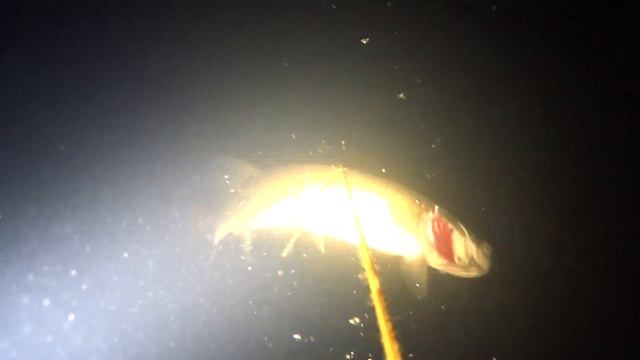 Щуки Осень зима 2017 смотреть онлайн