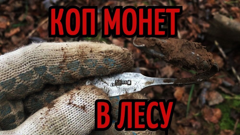 КОП МОНЕТ В ЛЕСУ