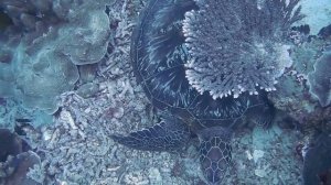 Когда кажется, что весь мир настроен против тебя, помни, что самолёт взлетает против ветра!