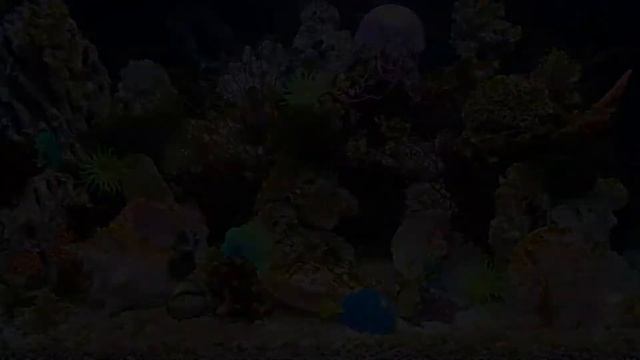 24. Тайное знание о жизни, которое не все способны понять. смотреть онлайн