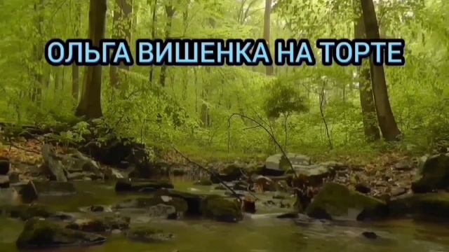 САМИ ВИНОВАТЫ. ОЛЮНЯ И КОТЮНЯ. ОБЗОР ВЛОГА.