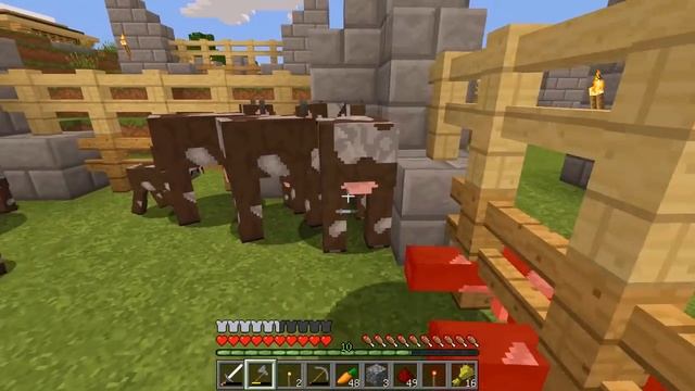 ВЗРЫВАЕМ СУПЕР ФЕЙЕРВЕРКИ! РАСШИРЕНИЕ ДЕРЕВНИ! ВАНИЛЬНОЕ ВЫЖИВАНИЕ НА СЕРВЕРЕ В МАЙНКРАФТ #20 смотреть онлайн