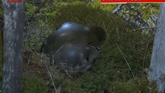 Важность сохранения памяти о событиях Великой Отечественной