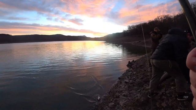 Топ лучшие приманки на судака, cиликоновые приманки Keitech смотреть онлайн