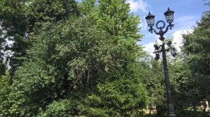 Москва. Страстной бульвар. Памятник Сергею Васильевичу Рахманинову.