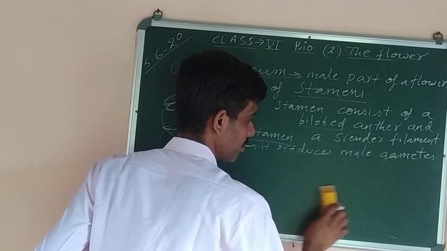 CLASS-VI BIOLOGY 2. THE FLOWER смотреть онлайн