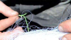 самодур своими рукам. №3  Мухв на пальцах для ставриды