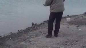 Щука на донку.