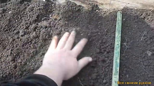 Посев семян томатов в самодельной мини теплице.