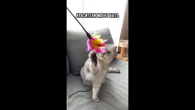 Самые опасные игрушки для кошки #кот #кошка #смешныекоты