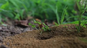 Сборник христианских песен Александра Старостенко | Милосердный Отец