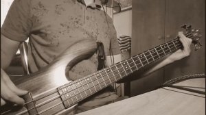 Duman - Aman Aman (Bass Cover)