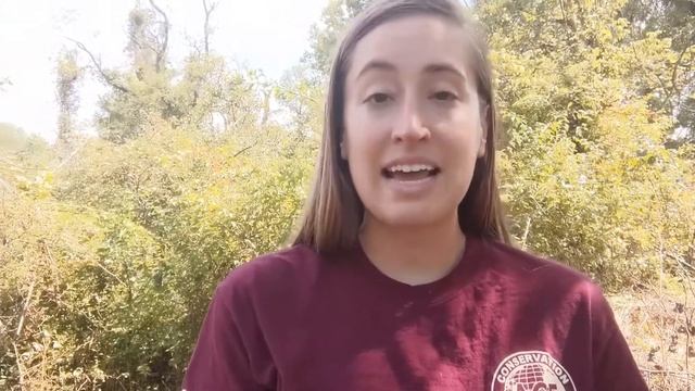 The Riverview Site and other Archaeological Sites in the Cuyahoga Valley National Park смотреть онлайн