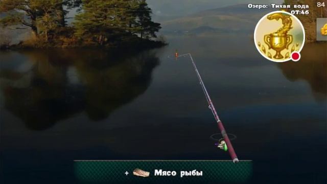 ПРЕДЕЛЬНЫЙ СТРИМ!!! ЭКСПЕДИЦИЯ на Озере!!! World of fishers. Мир рыбаков.