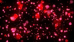 4K ROSE PETALS FALLING || ROMANTIC FOOTAGE VIDEO BACKGROUND || ROYALTY FREE || LOVE FOOTAGE FREE