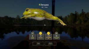 ТРОФЕЙНАЯ ЛЯГУШКА И УКЛЕЙКА НА КОМАРИНОМ НА МАХ В РУССКОЙ РЫБАЛКЕ 4 РР4