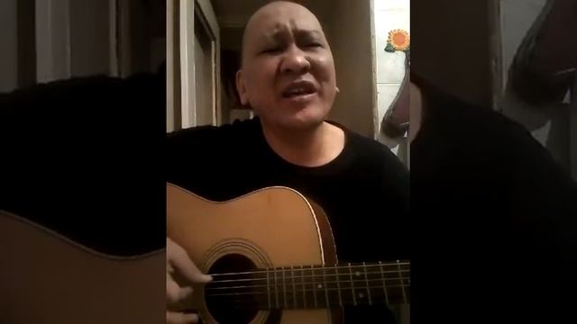 Тайга...да километры
