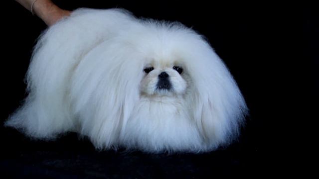 MVI 6753 смотреть онлайн