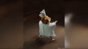 Rato dorime ameno remix  // Mouse sleeps mild extended remix .new Brazilian meme  ￼