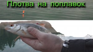 Ловля плотвы на поплавок.mp4