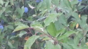 Природа рыбалка курган