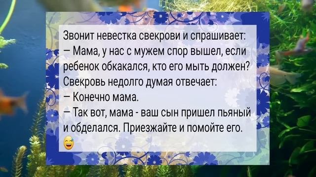 Невестка звонит к свекрови..АНЕКДОТЫ для настроения #анекдоты #сборниканекдотов #подборкаанекдотов
