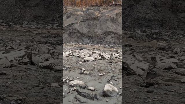 Сланцевый рудник. На поиски камней. Ульяновск