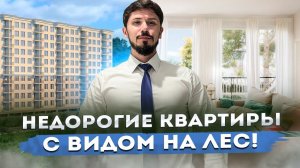 КВАРТИРЫ В СОЧИ ПО ЦЕНЕ КРАСНОДАРА! ЖК Лукоморье