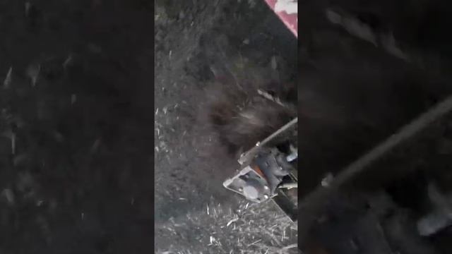 Роторный плуг к минитрактору в работе смотреть онлайн