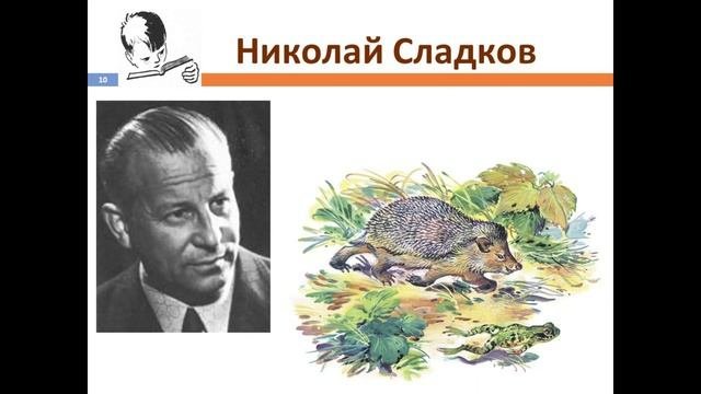 Книжный шкаф