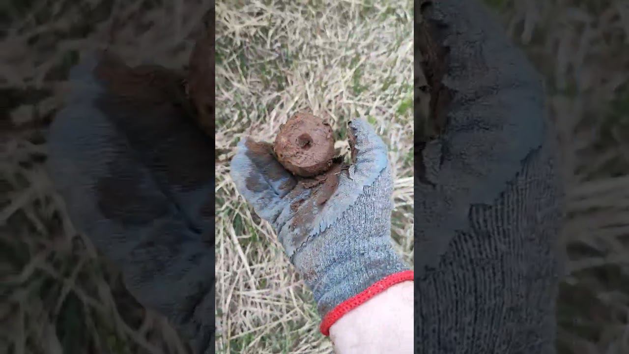 Металокоп!!!мошки, и вал я их!!! смотреть онлайн