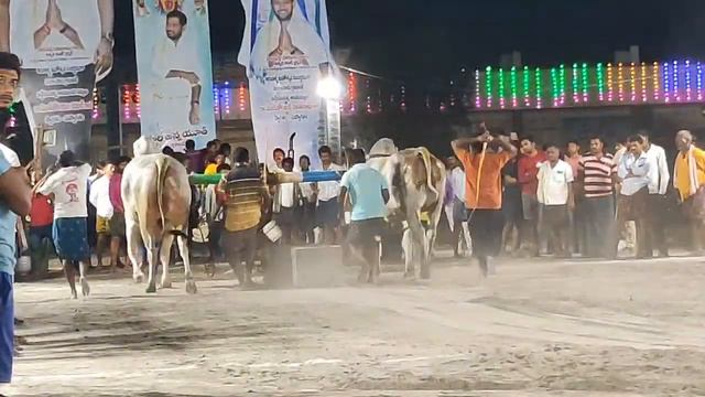 8.KVR inimetla & BSS dhidugu combined pair new catagory bulls .......in lingalapadu смотреть онлайн