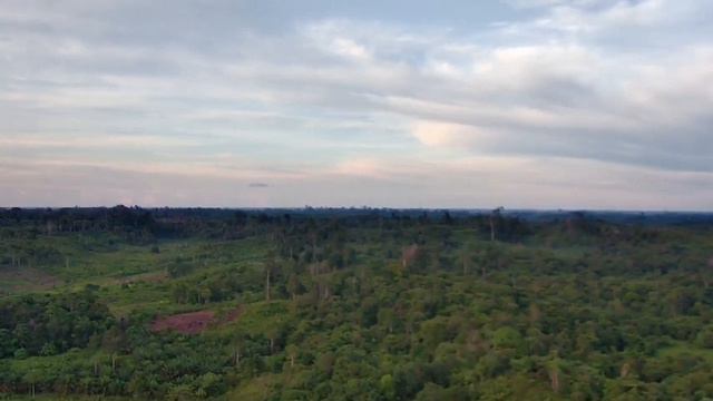 Drone sjrc f11 4k pro murah untuk pemula mudah di mainkan смотреть онлайн