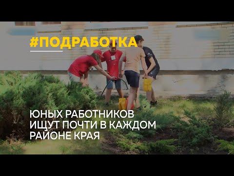 В крае опубликовали список рабочих мест, куда могут устроиться подростки на подработку летом