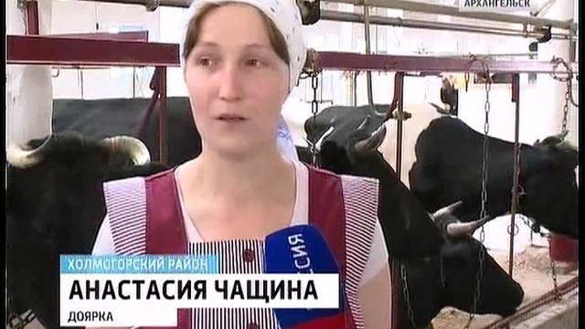 В Холмогорском районе открыли современную ферму