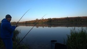 ВЫРЕЗУБ РВЁТ ПОВОДКИ, НАЛОВИЛ НА ШТРАФ 20000 РУБ.   4К