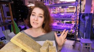 Рассказываем об #агровата все плюсы и минусы, мифы. #микрозелень #ильинскиепроростки #ситиферма