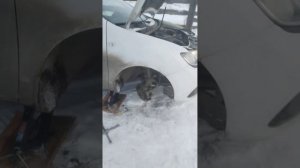 Заменил ремень генератора. Перестал заводится.