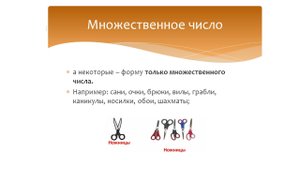 Правописание слов-названий предметов во множественном и единственном числе. Русский язык 2-3 класс.